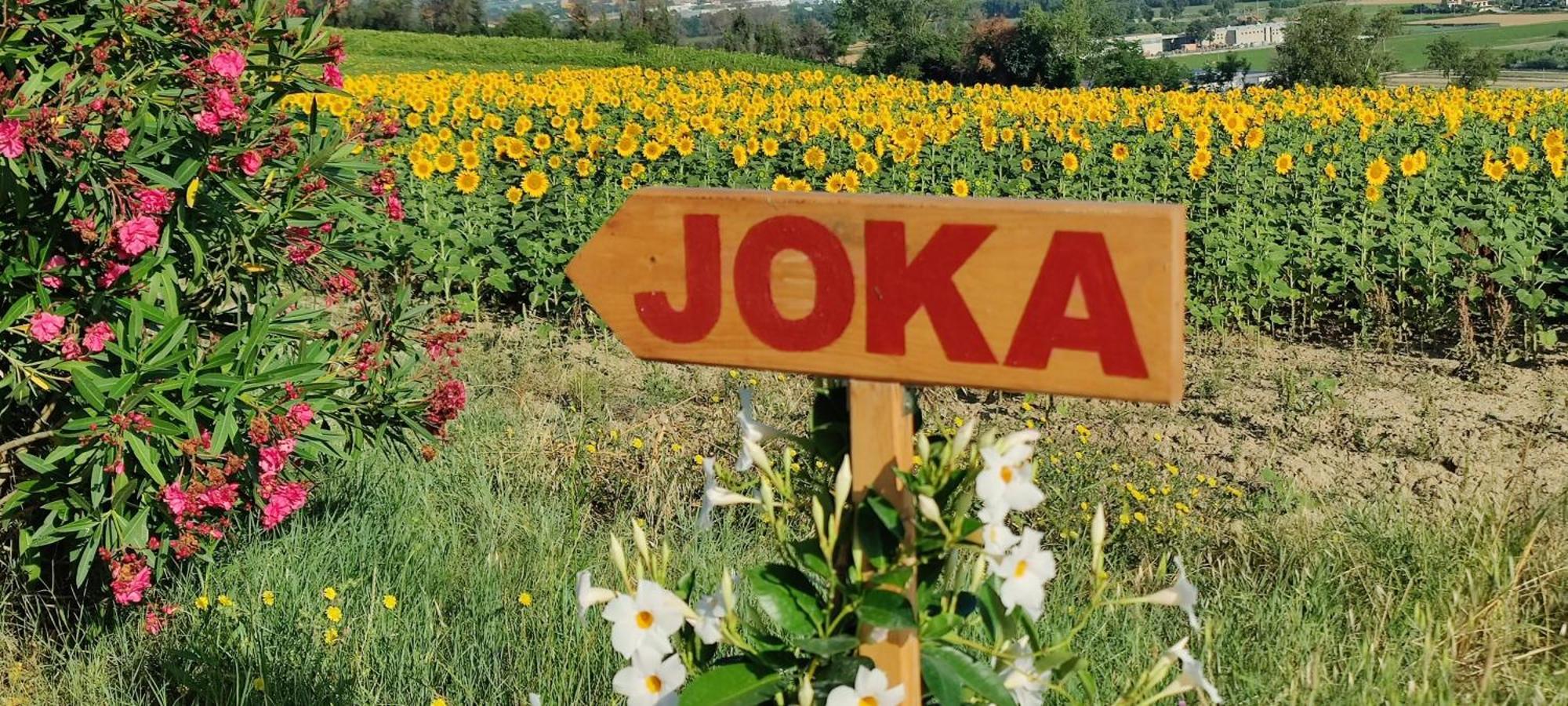 Joka E Food Apartment *